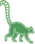 Lemurcredit